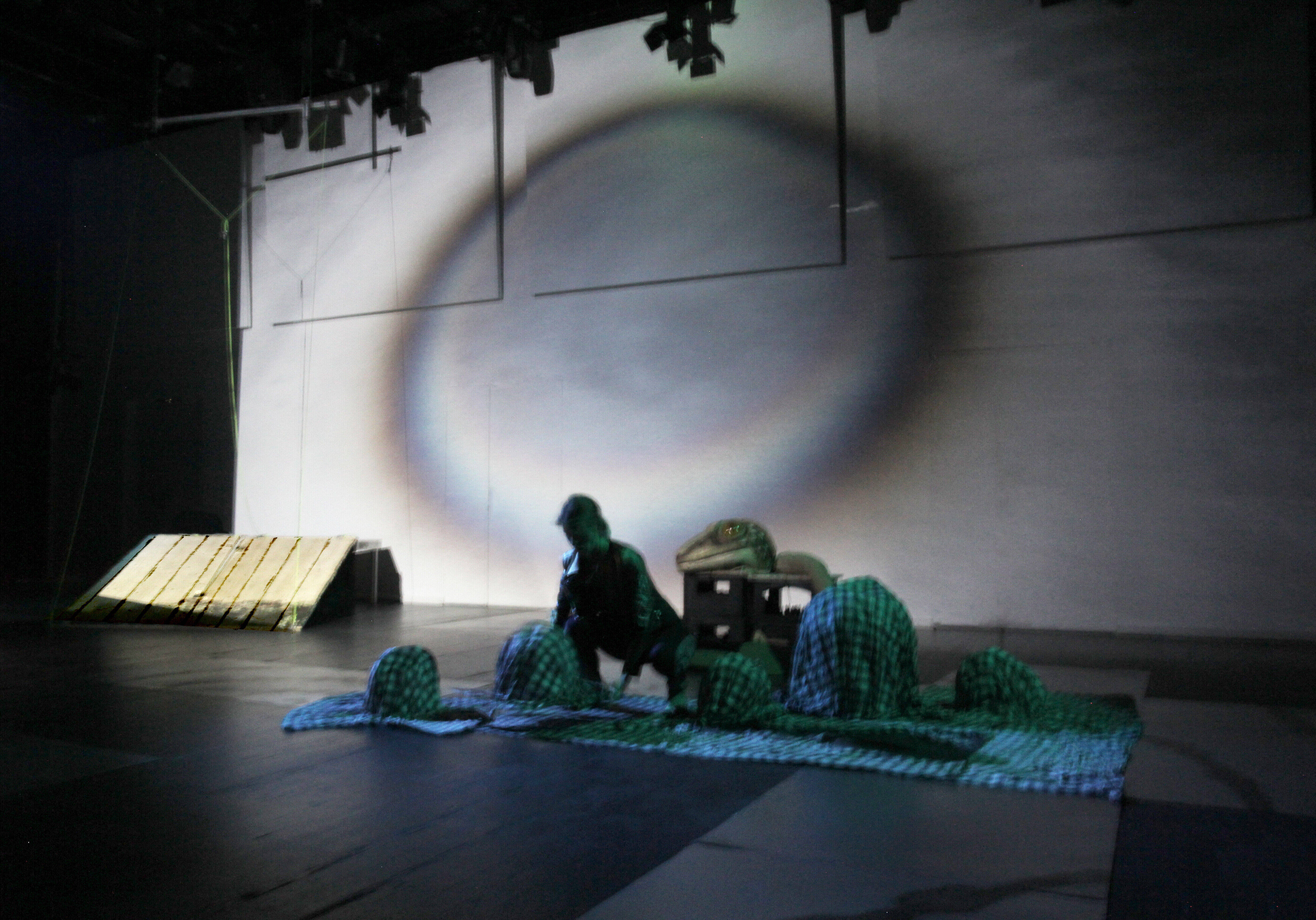 5  Dippel. Diagnose Cin 3 Foto 3